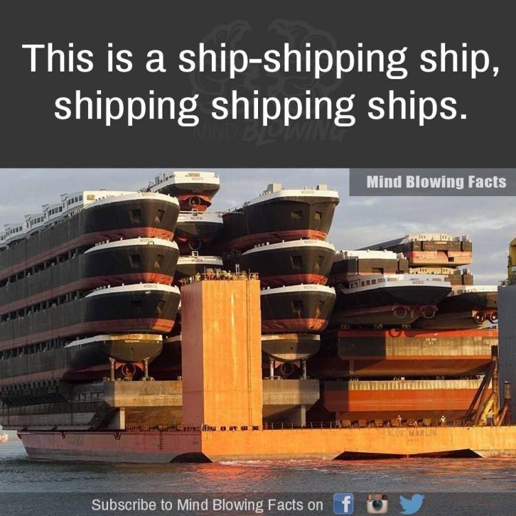 ship shipping ship.jpg