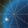 spiderweb